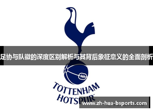 足协与队徽的深度区别解析与其背后象征意义的全面剖析