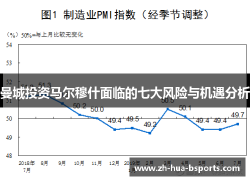 曼城投资马尔穆什面临的七大风险与机遇分析