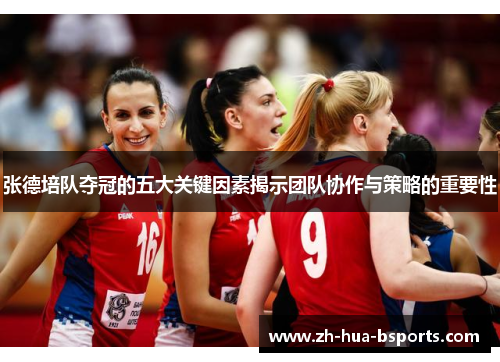 张德培队夺冠的五大关键因素揭示团队协作与策略的重要性 张德培队夺冠的五大关键因素揭示团队协作与策略的重要性