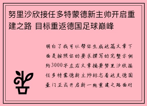 努里沙欣接任多特蒙德新主帅开启重建之路 目标重返德国足球巅峰 努里沙欣接任多特蒙德新主帅开启重建之路 目标重返德国足球巅峰